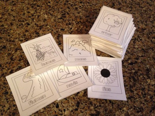 Latin-vocab-flashcards