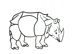 Rhinoceros